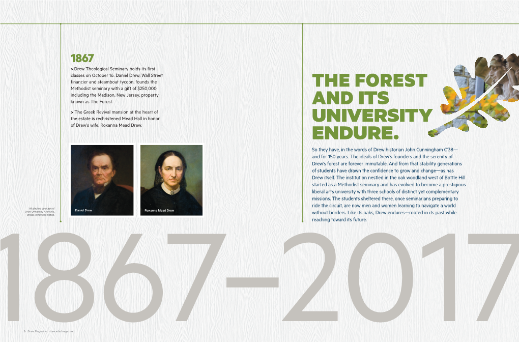 The Forest and Its University Endure