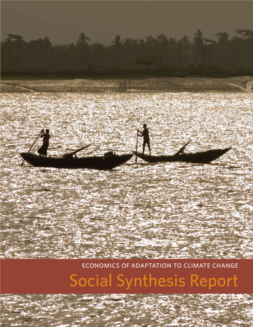 Social Synthesis Report
