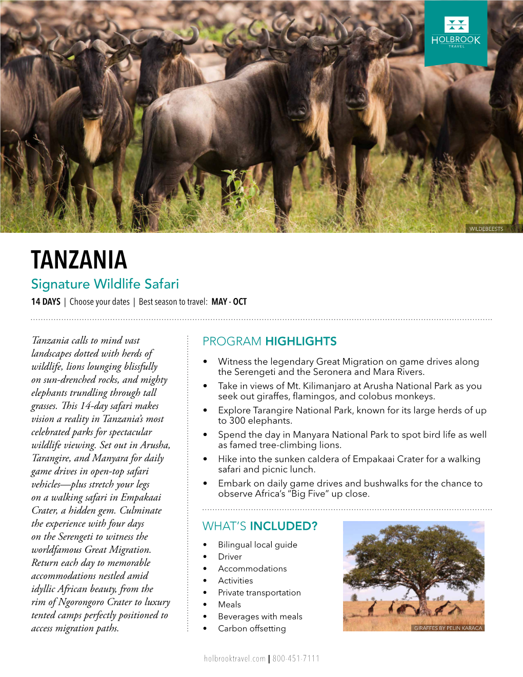 Tanzania Signature Wildlife Safari 14 DAYS | Choose Your Dates | Best Season to Travel: May - Oct