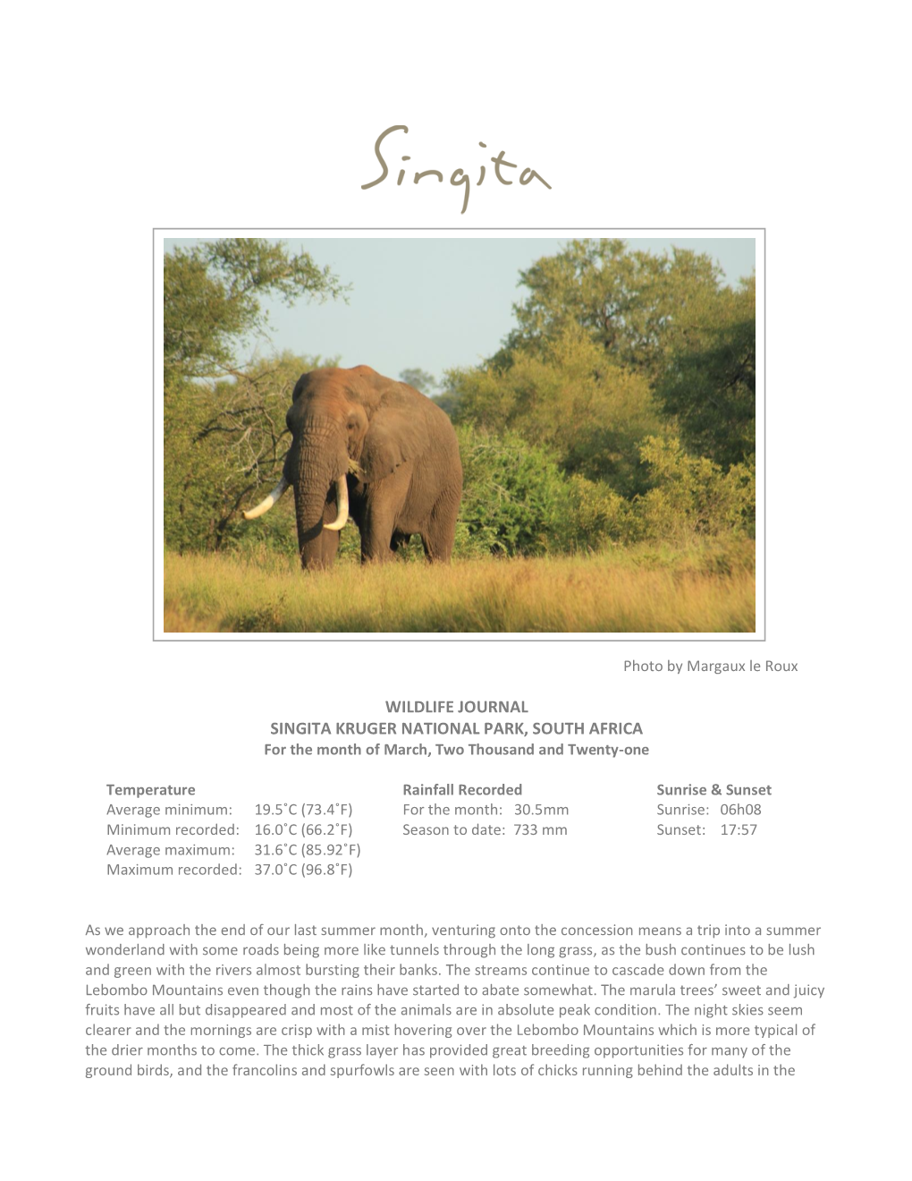 WILDLIFE JOURNAL SINGITA KRUGER NATIONAL PARK, SOUTH AFRICA for the Month of March, Two Thousand and Twenty-One