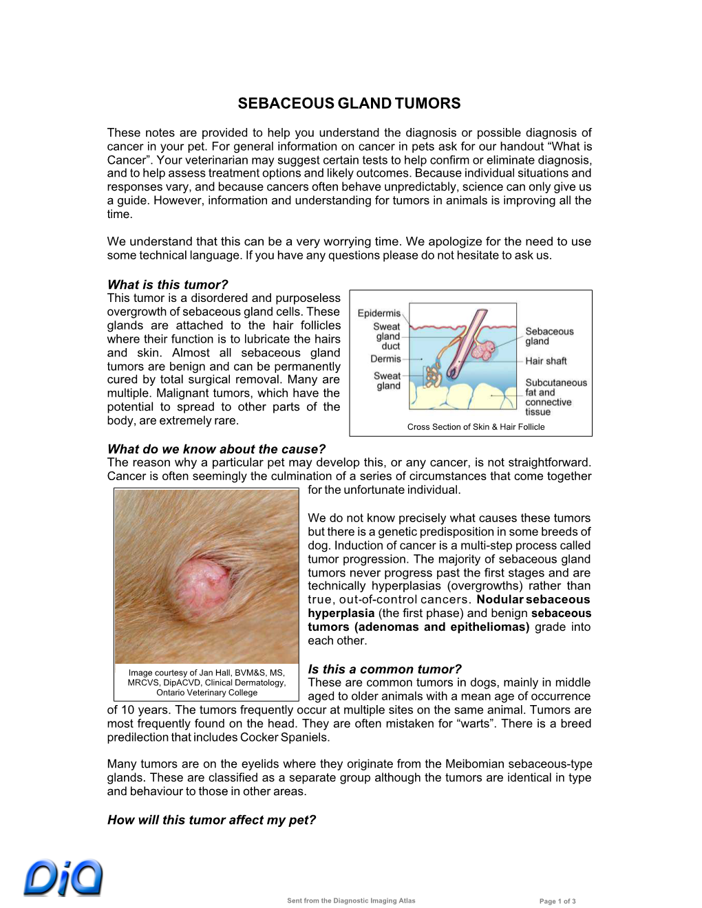 Sebaceous Gland Tumors