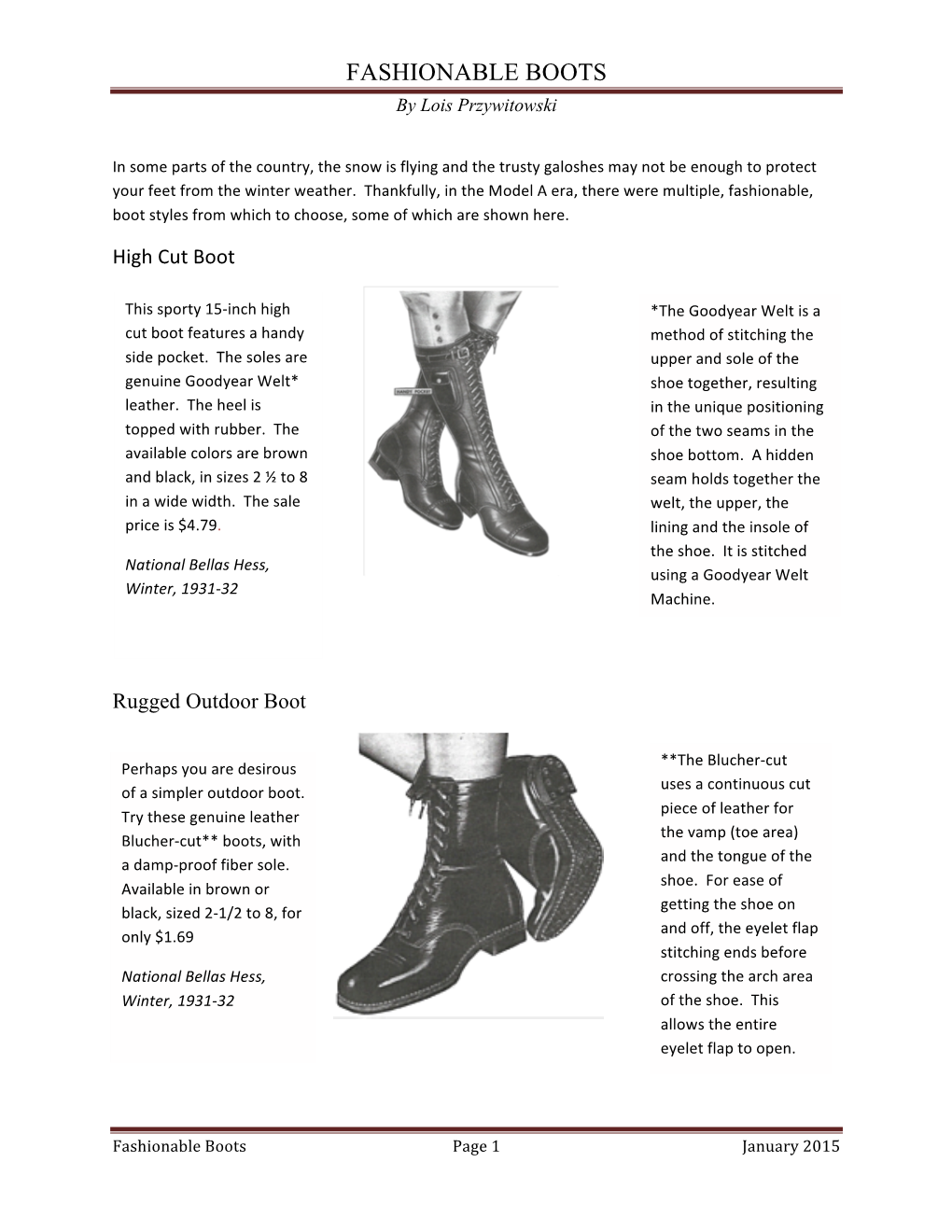 FASHIONABLE BOOTS by Lois Przywitowski