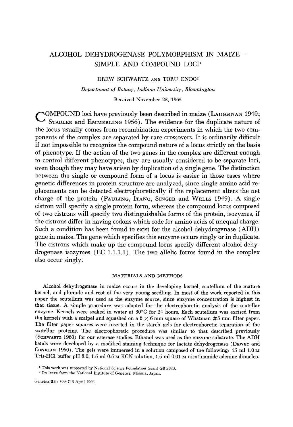 Alcohol Dehydrogenase Polymorphism in Maize- Simple and Compound Loci'