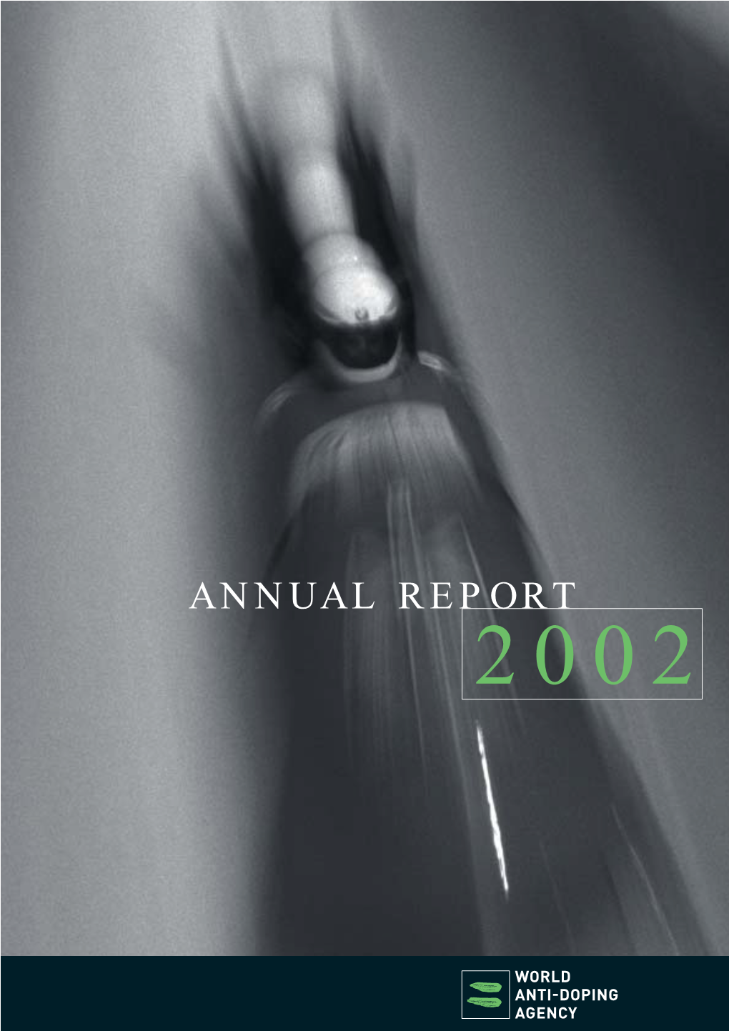 2002 Annual Report