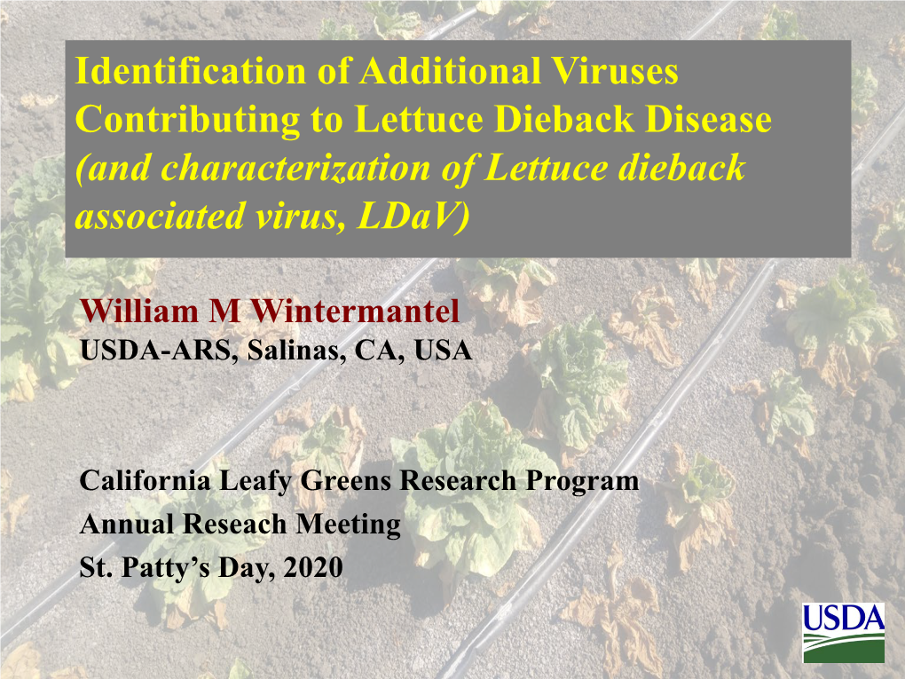 And Characterization of Lettuce Dieback Associated Virus, Ldav)