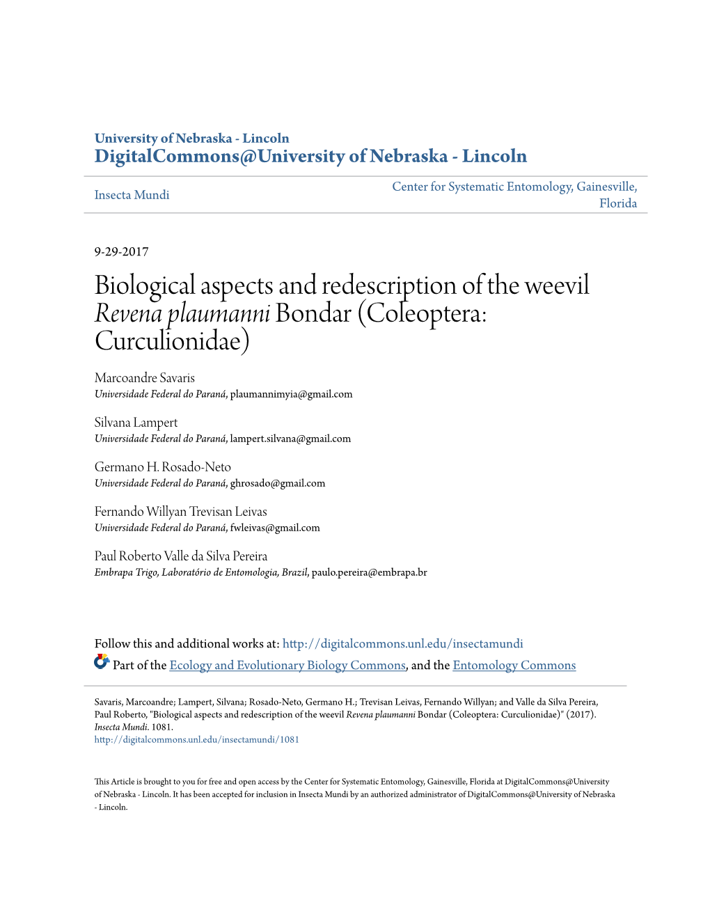 Biological Aspects and Redescription of the Weevil <I>Revena Plaumanni