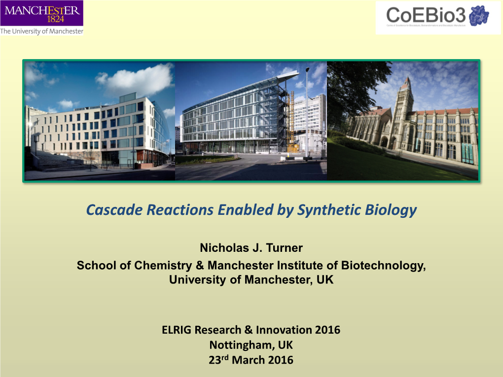 Organic Synthesis Biocatalysis