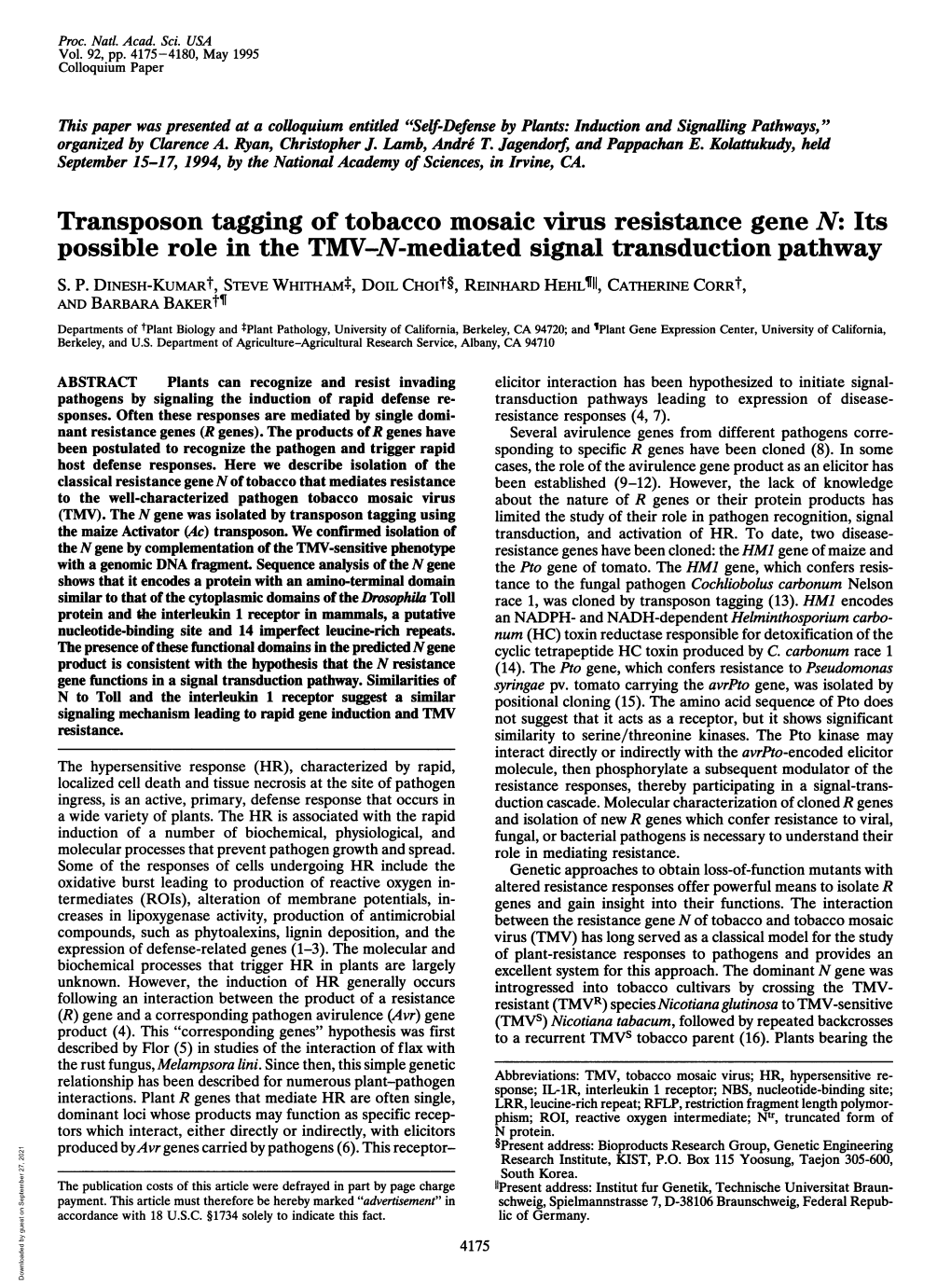 Transposon Tagging of Tobacco Mosaic Virus Resistance Gene N: Its Possible Role in the TMV-N-Mediated Signal Transduction Pathway S