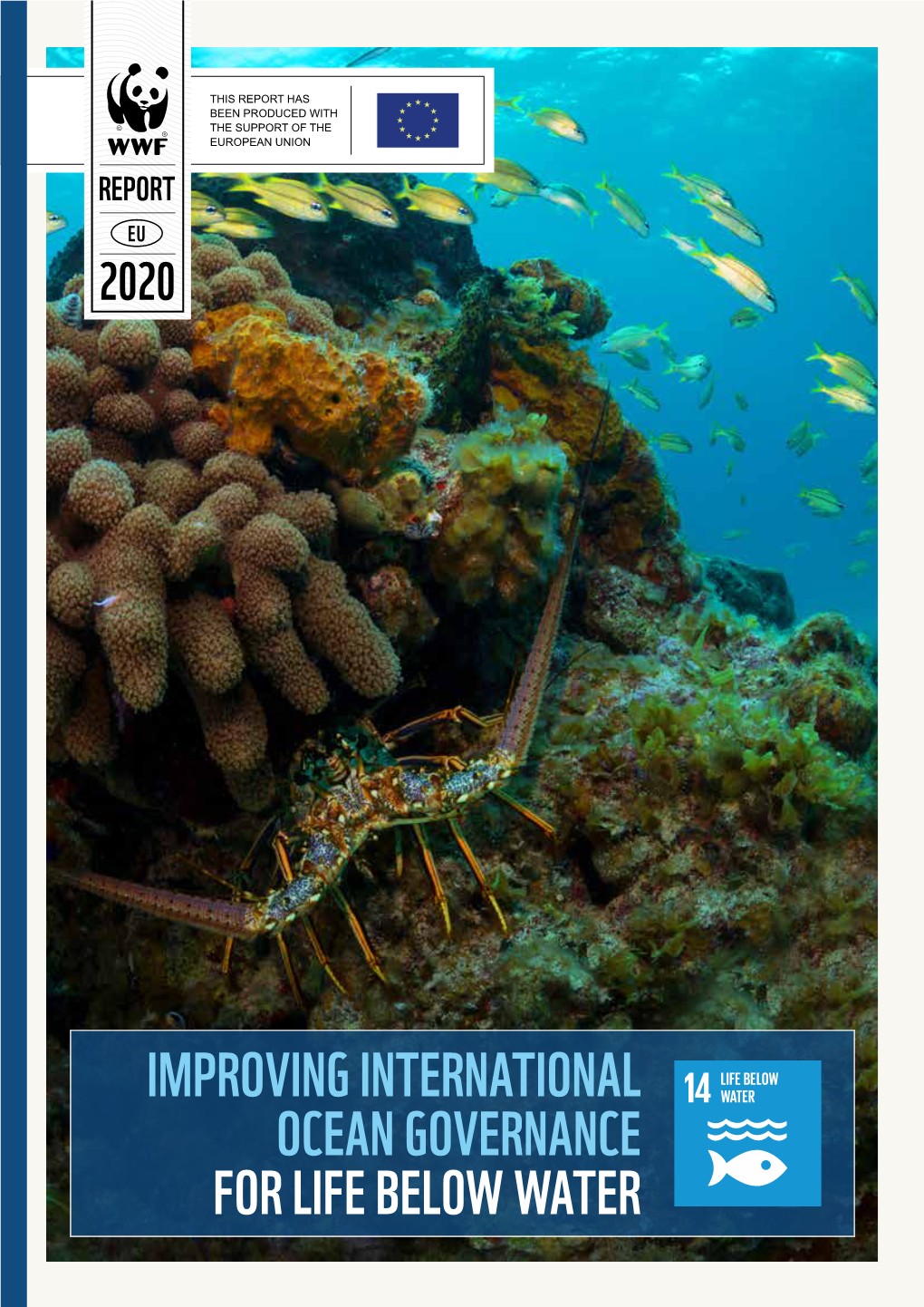 IMPROVING INTERNATIONAL OCEAN GOVERNANCE for LIFE BELOW WATER FOREWORD the Ocean Is in Trouble