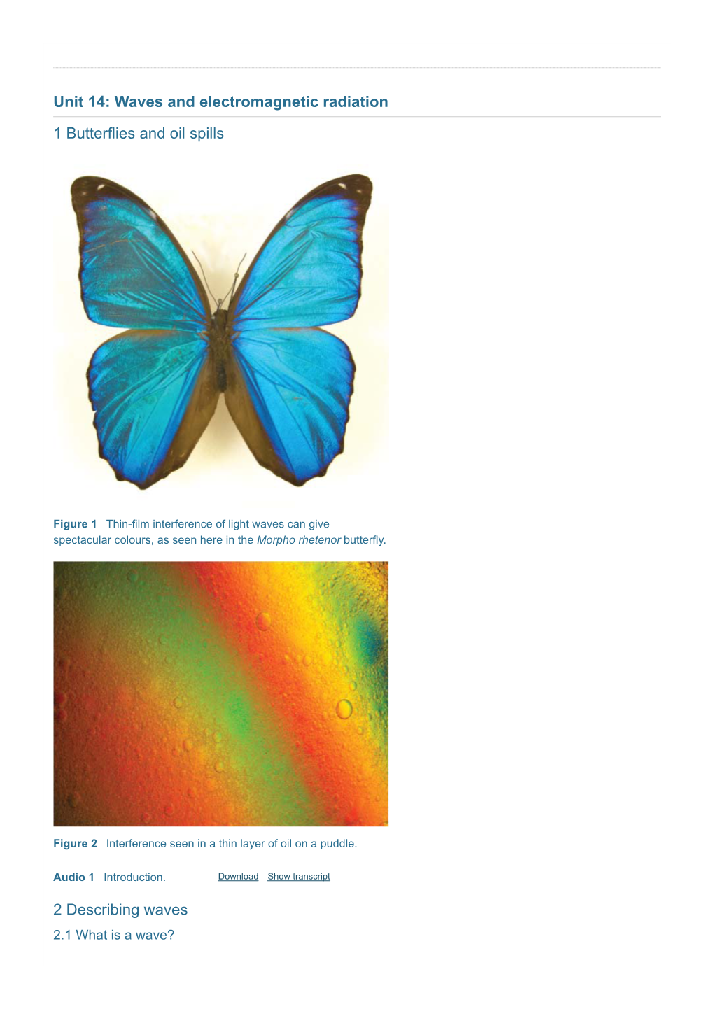 Unit 14: Waves and Electromagnetic Radiation 1 Butterflies and Oil Spills