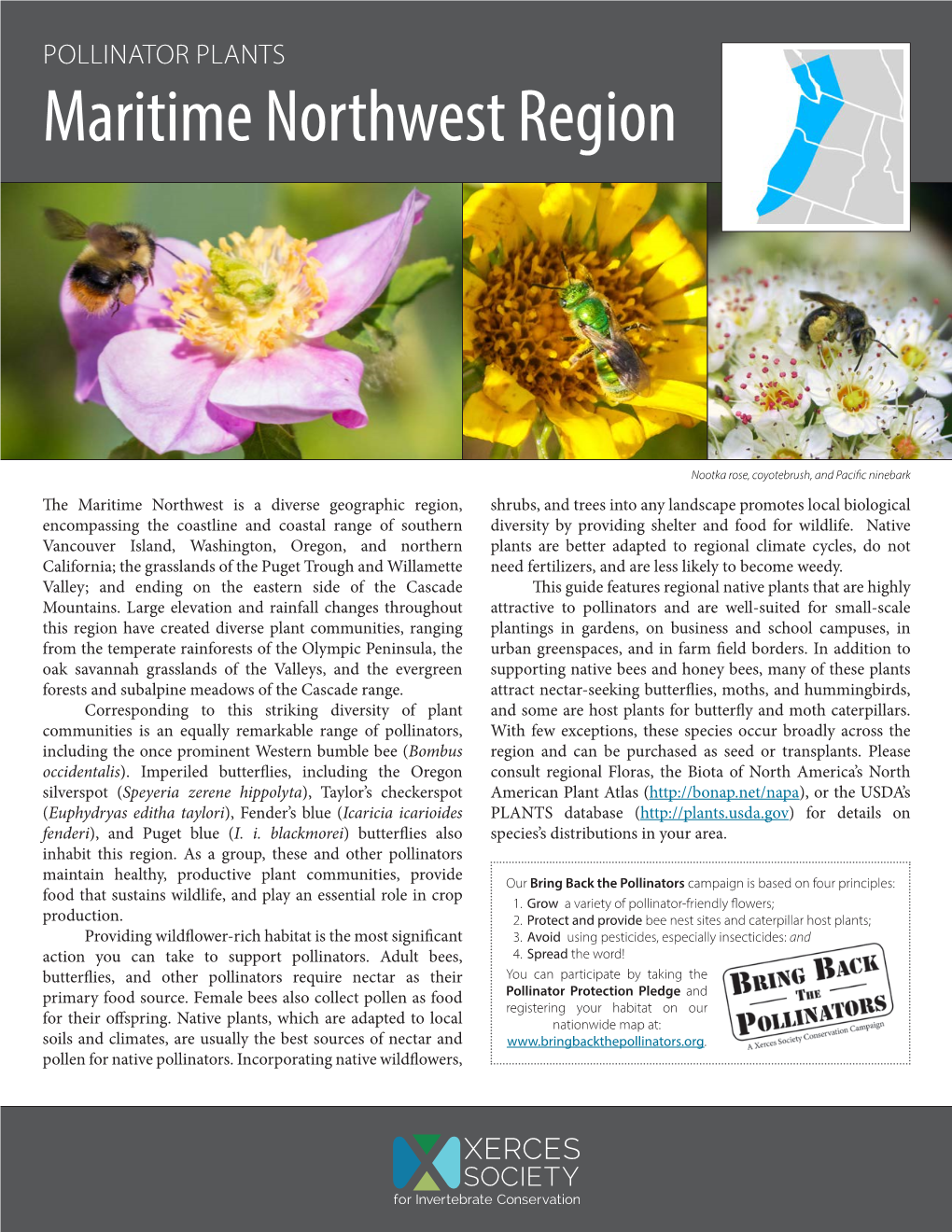 Pollinator Plants: Maritime Northwest Region (PDF)