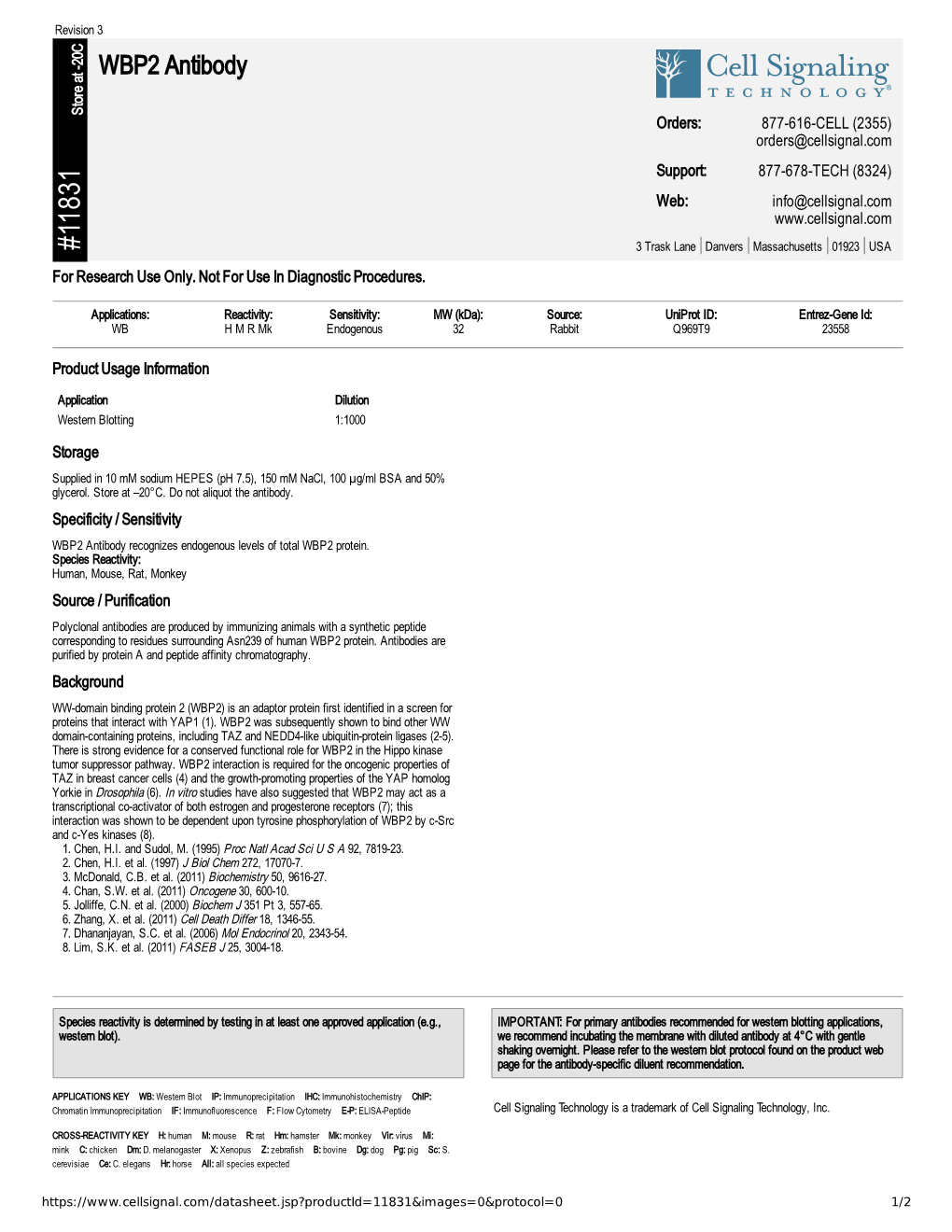 11831 WBP2 Antibody