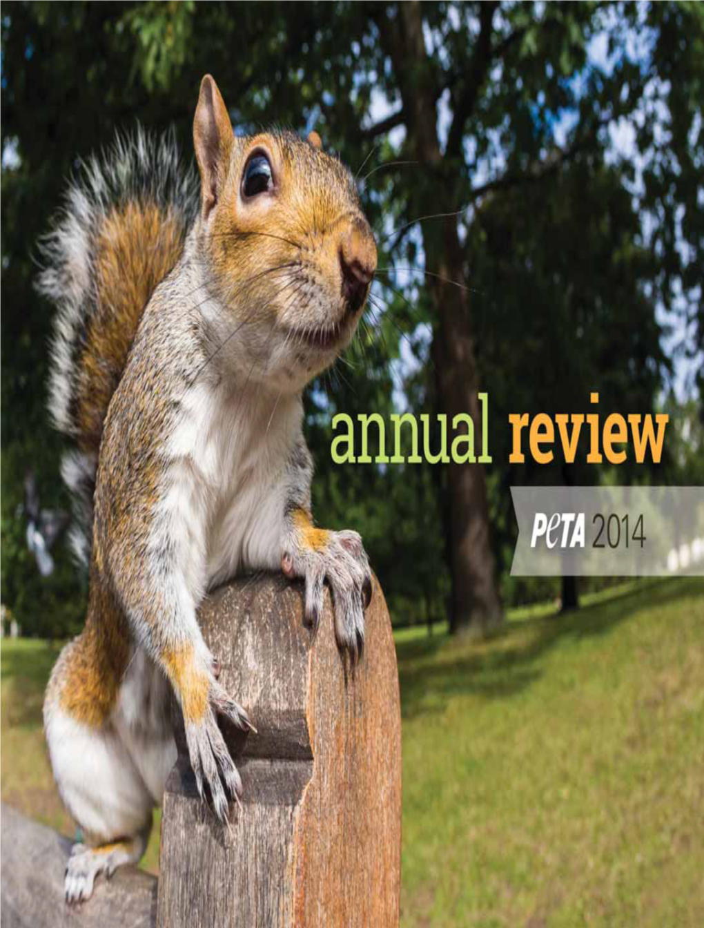 ANNUAL-REVIEW-2014.Pdf