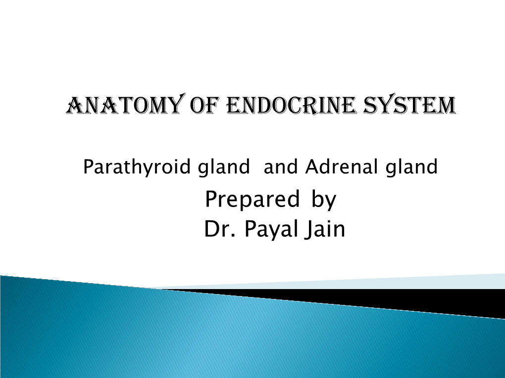 Anatomy of Endocrine System