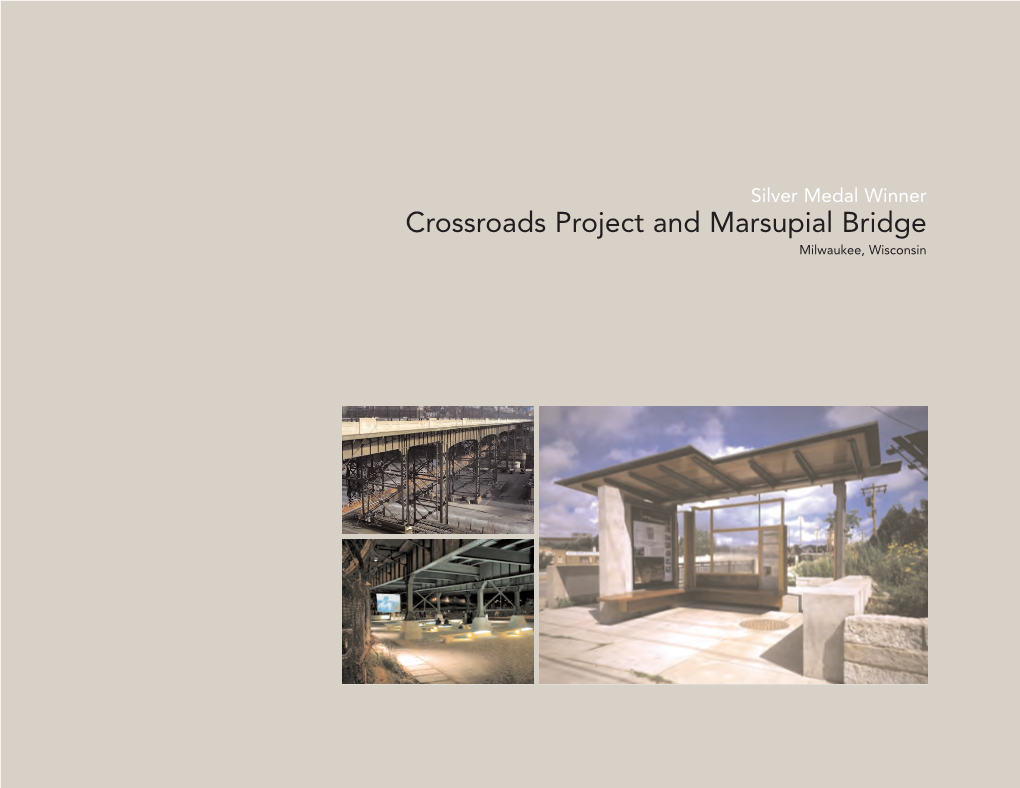 Crossroads Project and Marsupial Bridge Milwaukee, Wisconsin Building Sustainable Neighborhoods the 2007 RUDY BRUNER AWARD for URBAN EXCELLENCE