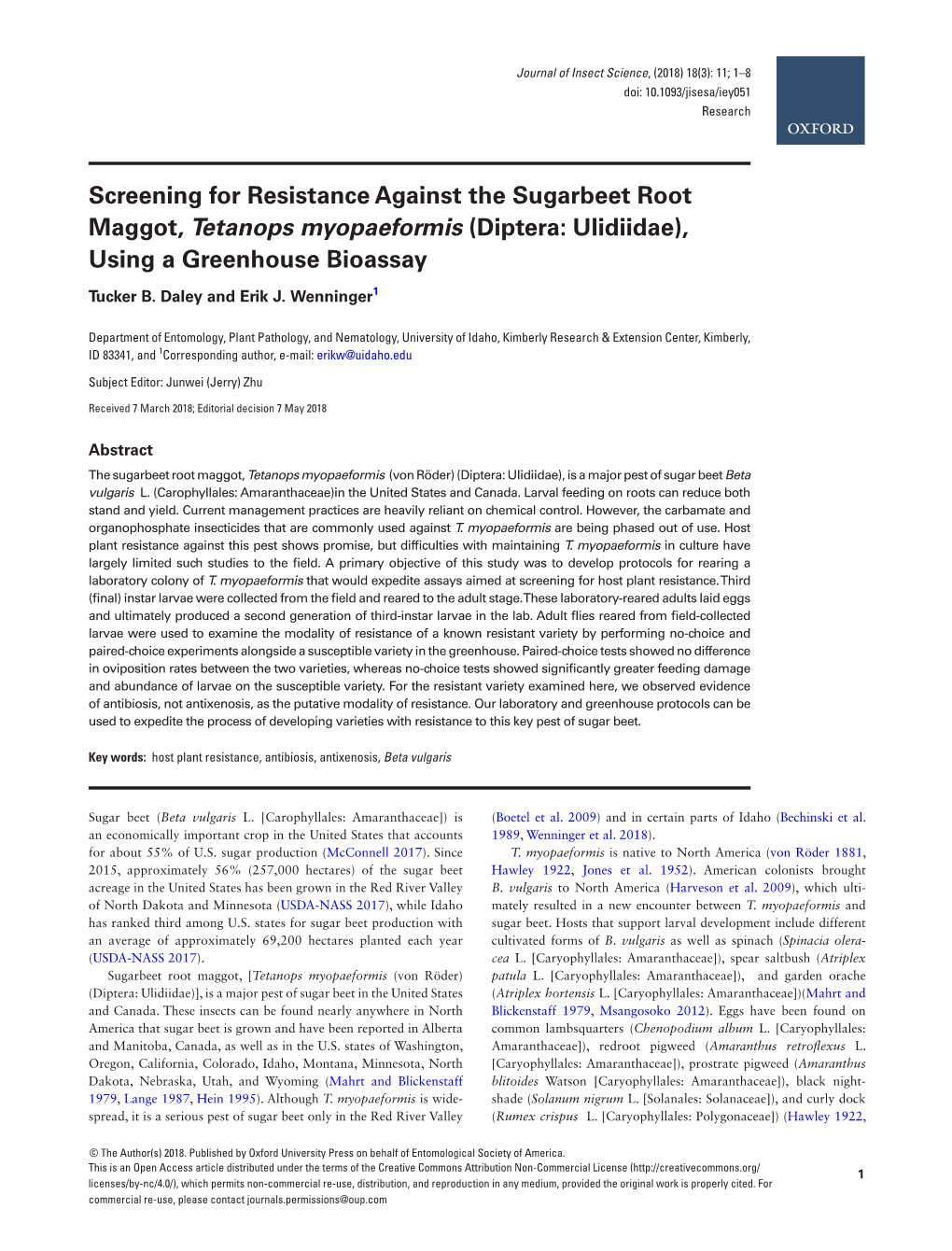 Screening for Resistance Against the Sugarbeet Root Maggot, Tetanops Myopaeformis (Diptera: Ulidiidae), Using a Greenhouse Bioassay