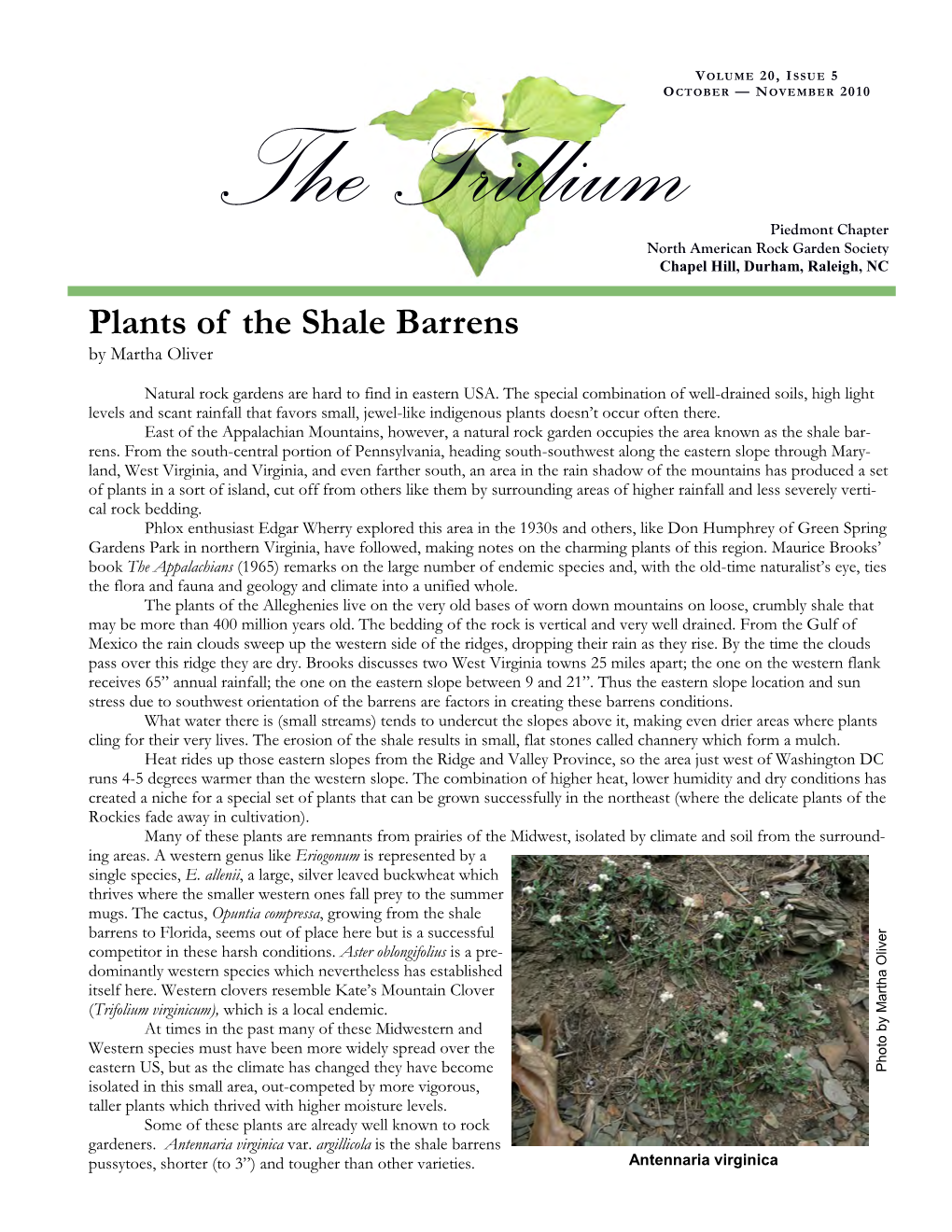Plants of the Shale Barrens by Martha Oliver