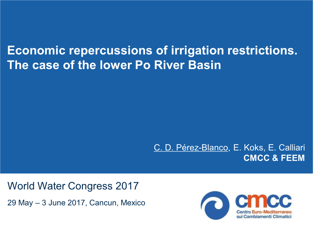 Economic Repercussions of Irrigation Restrictions. the Case of the Lower Po River Basin