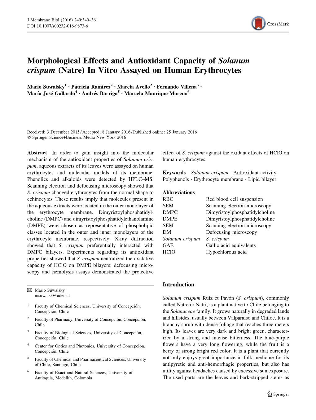 Morphological Effects and Antioxidant Capacity of Solanum Crispum (Natre) in Vitro Assayed on Human Erythrocytes