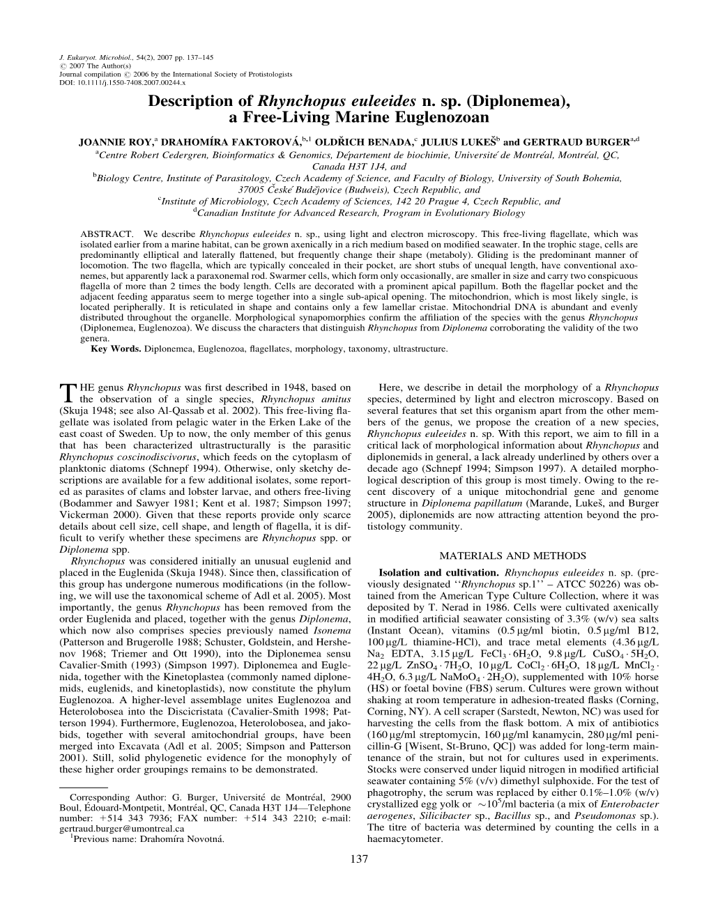 Description of Rhynchopus Euleeides N. Sp. (Diplonemea), a Free-Living Marine Euglenozoan