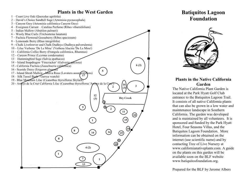 Plants in the California Native Garden Pamphlet
