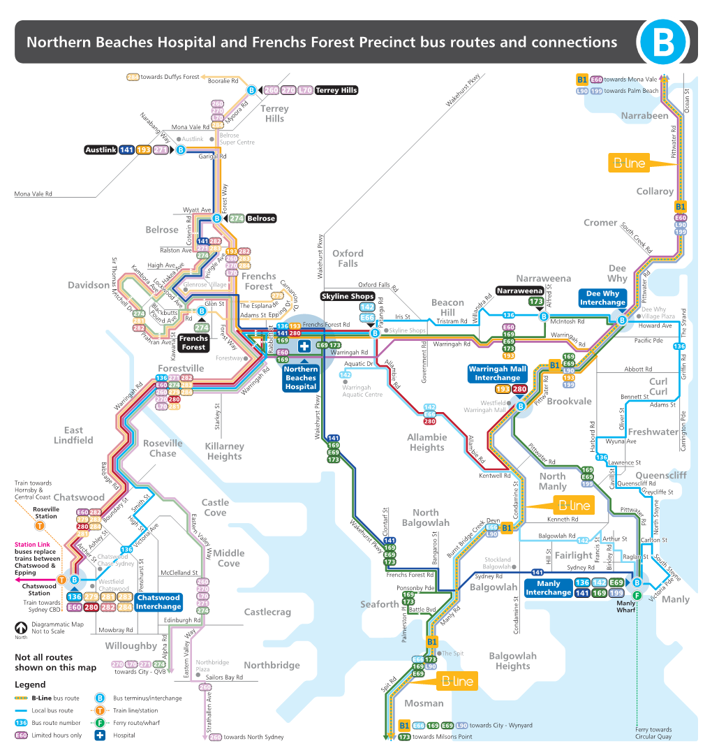 Northern Beaches Hospital and Frenchs Forest Precinct Bus Routes and Connections