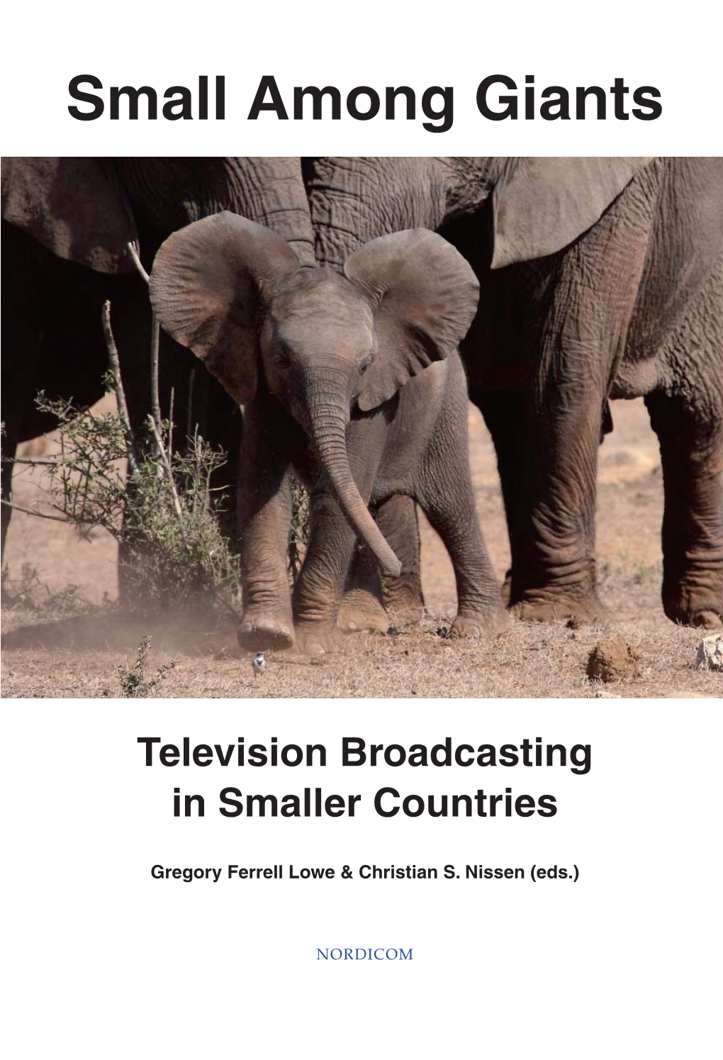 Small Among Giants Television Broadcasting in Smaller Countries