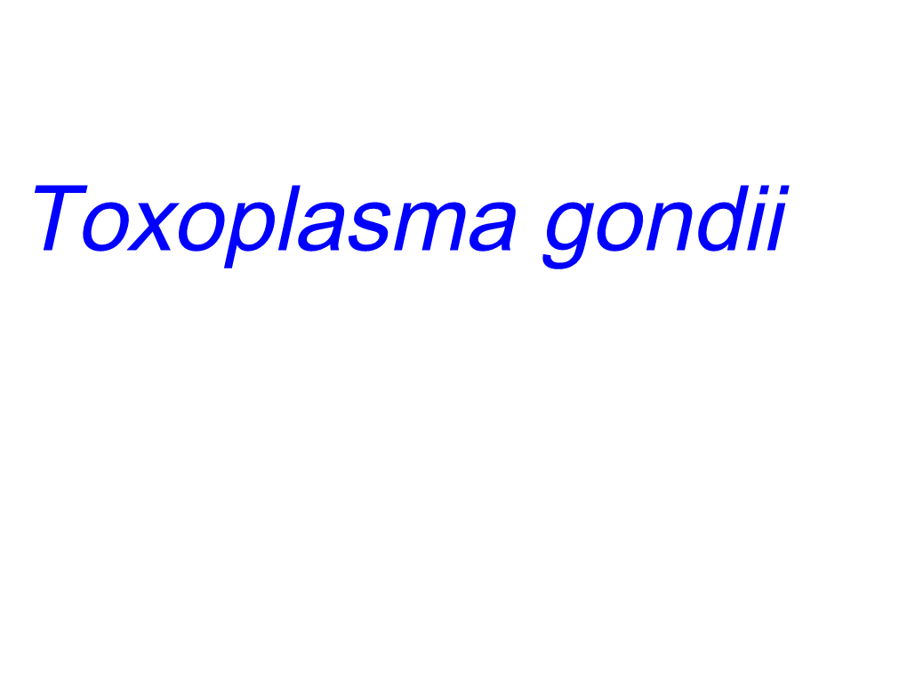 Toxoplasma-Gondii.Pdf