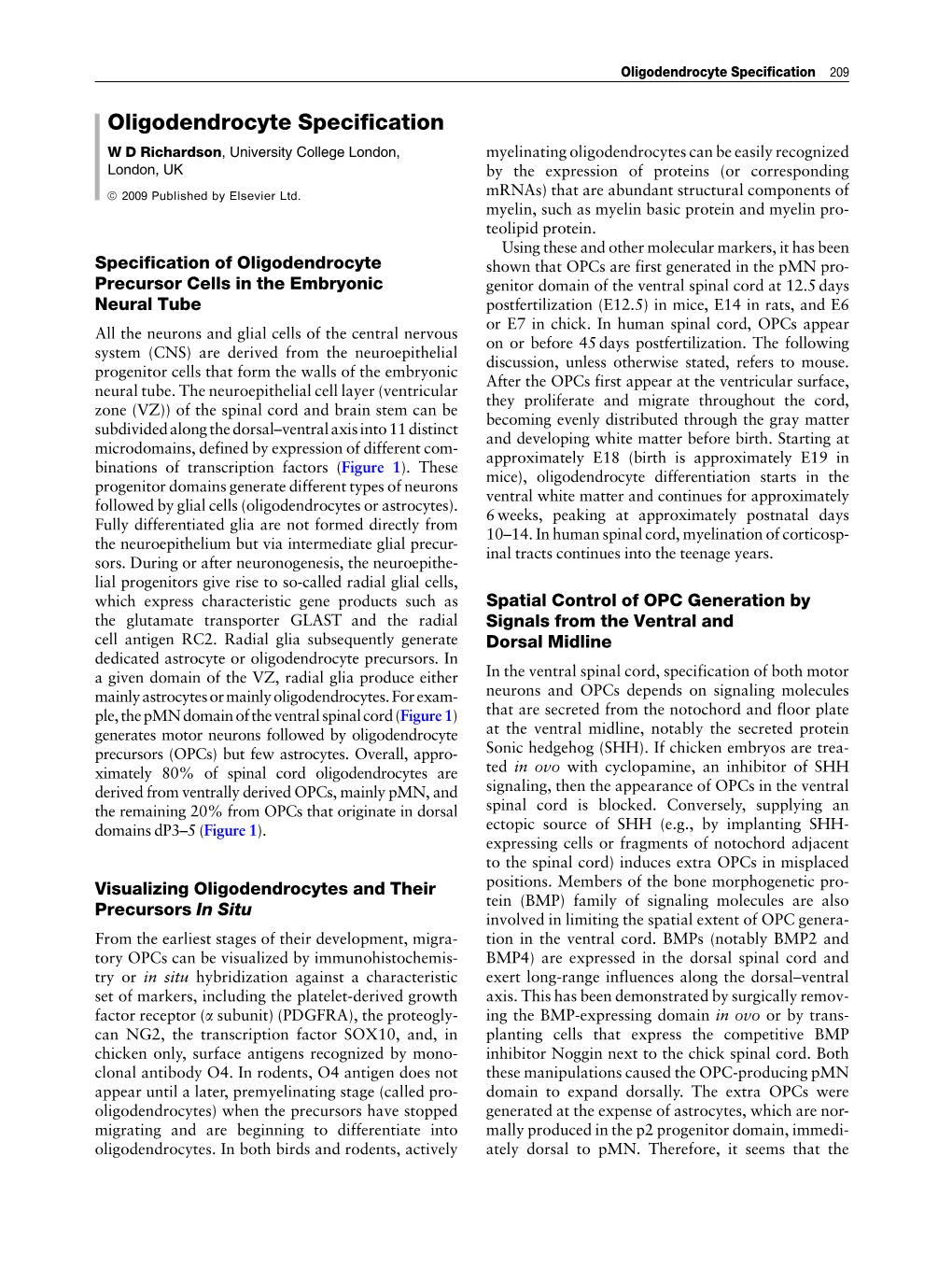 Oligodendrocyte Specification 209