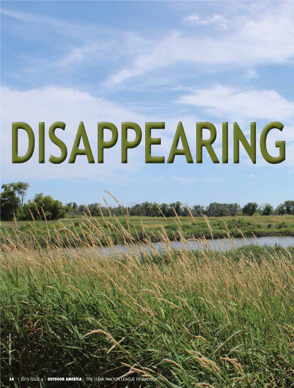 Disappearing Wetlands