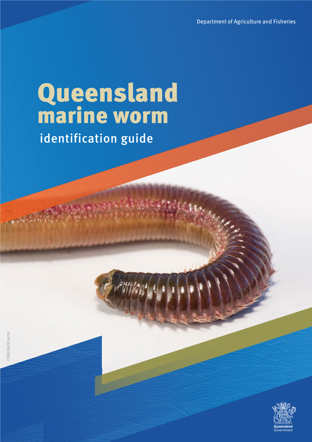 Queensland Marine Worm Identification Guide Cribb Island Worm Island Cribb CS7108 10/2017 © State of Queensland, 2017