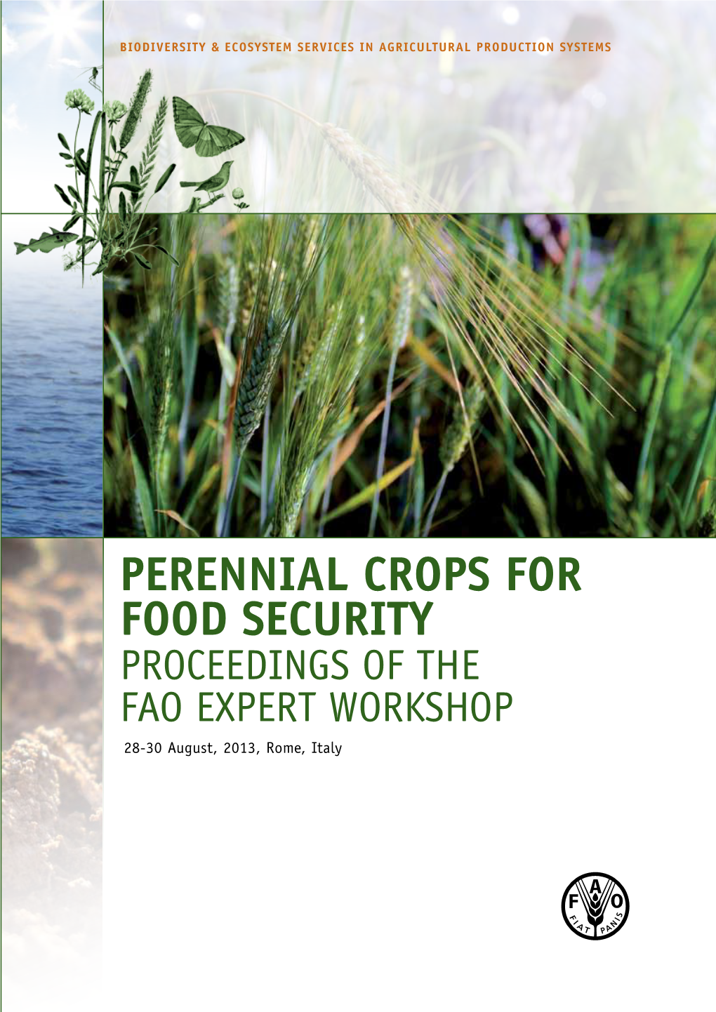 Perennial Crops for Food Security: Proceedings of the FAO Expert