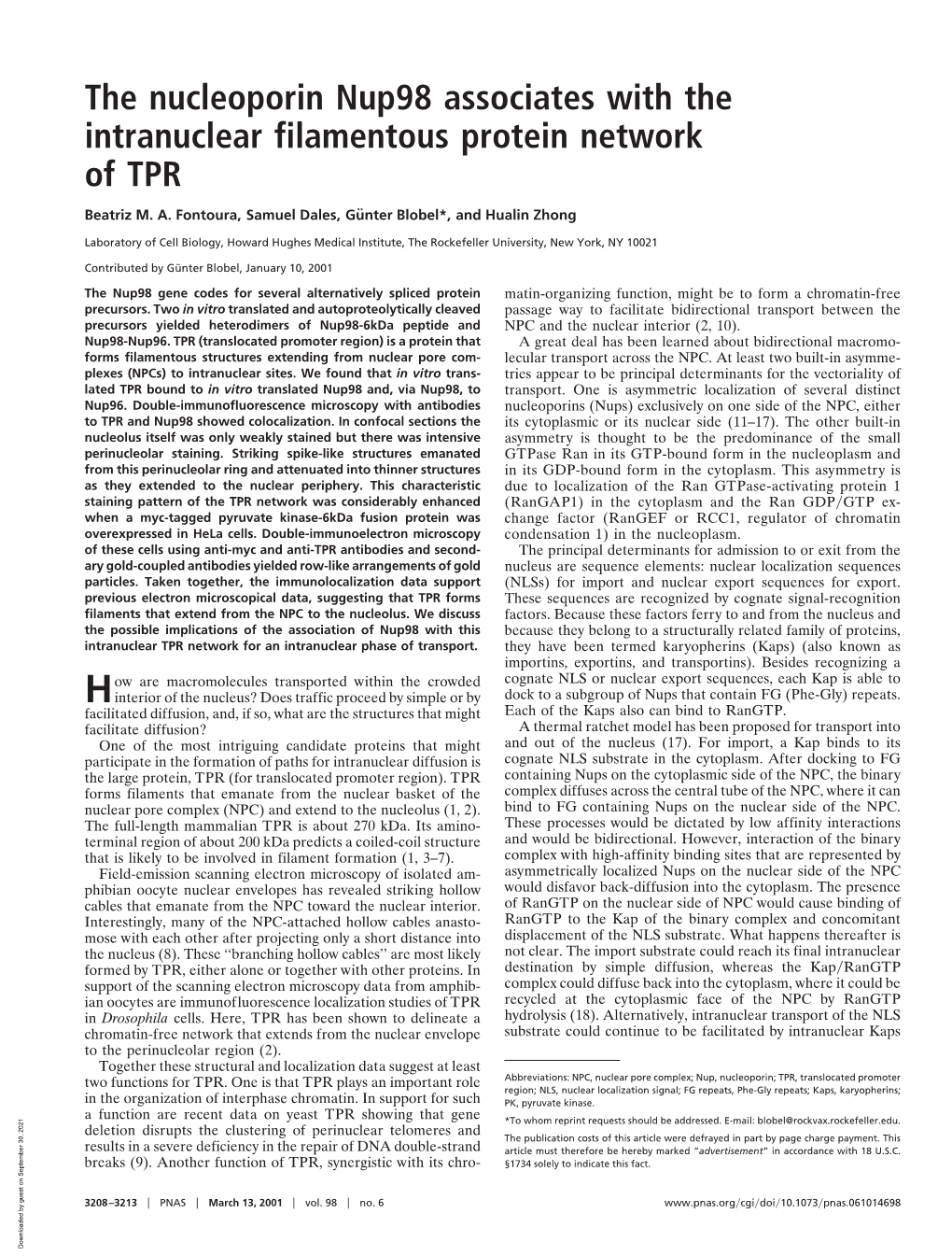 The Nucleoporin Nup98 Associates with the Intranuclear Filamentous Protein Network of TPR