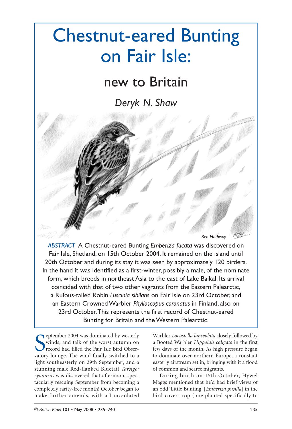 Chestnut-Eared Bunting on Fair Isle: New to Britain Deryk N