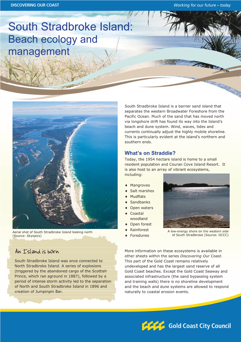 South Stradbroke Island: Beach Ecology and Management