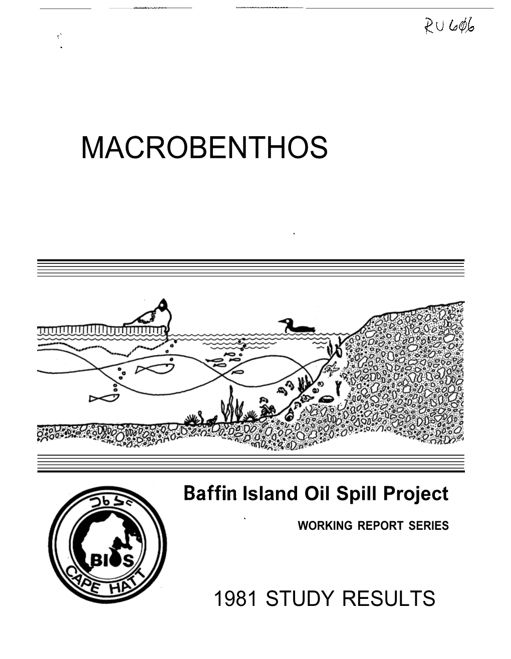 Macrobenthos