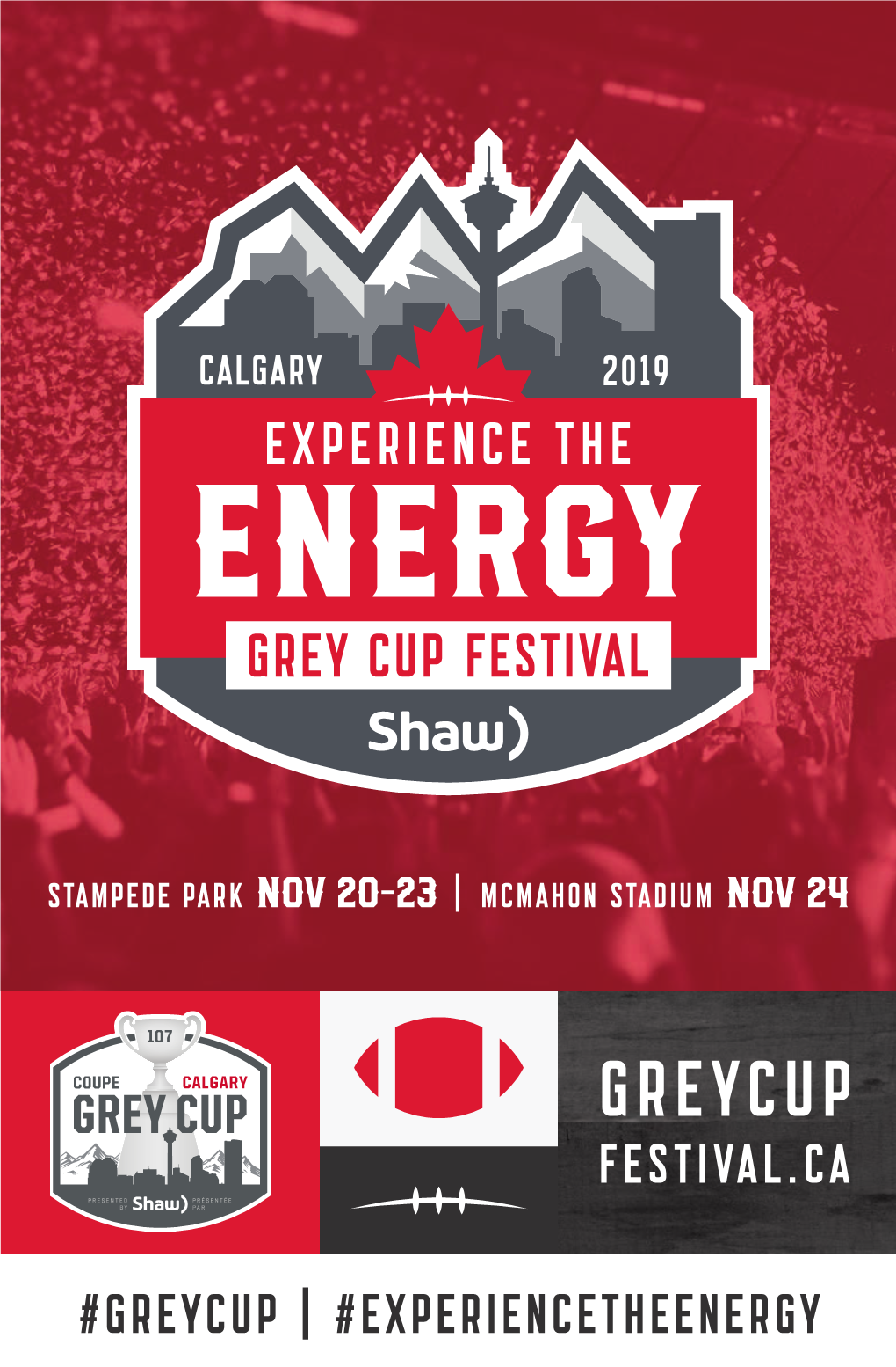 Greycup | #Experiencetheenergy 2 Table of Contents