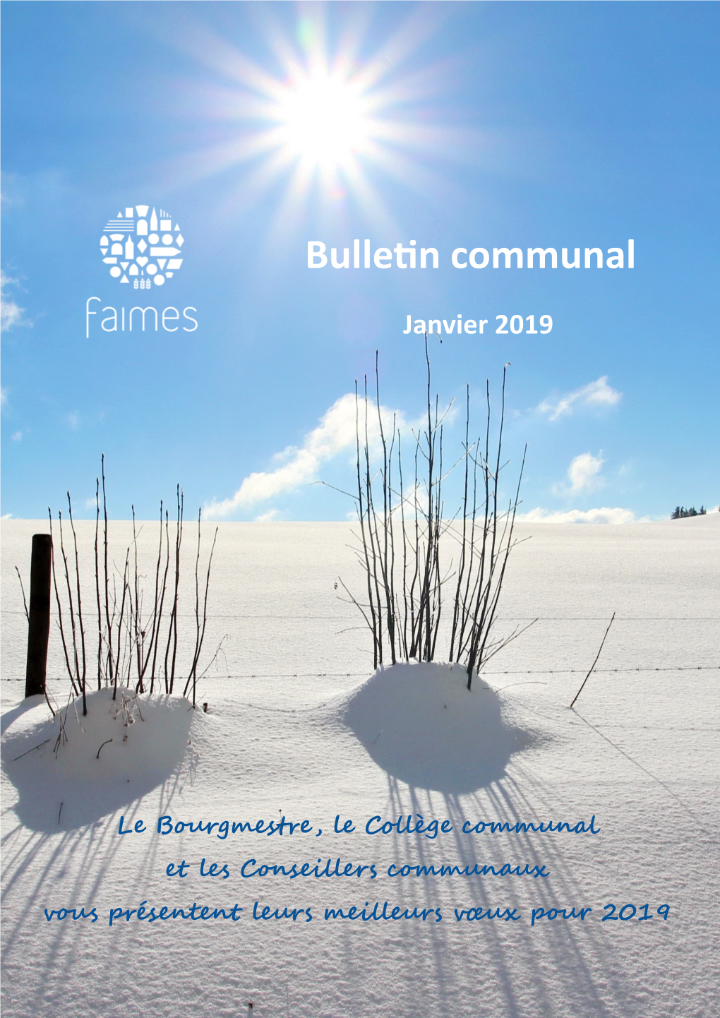 Bulletin-Communal-Janvier-2019.Pdf
