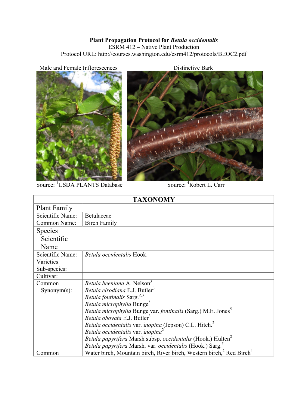 TAXONOMY Plant Family Species Scientific Name