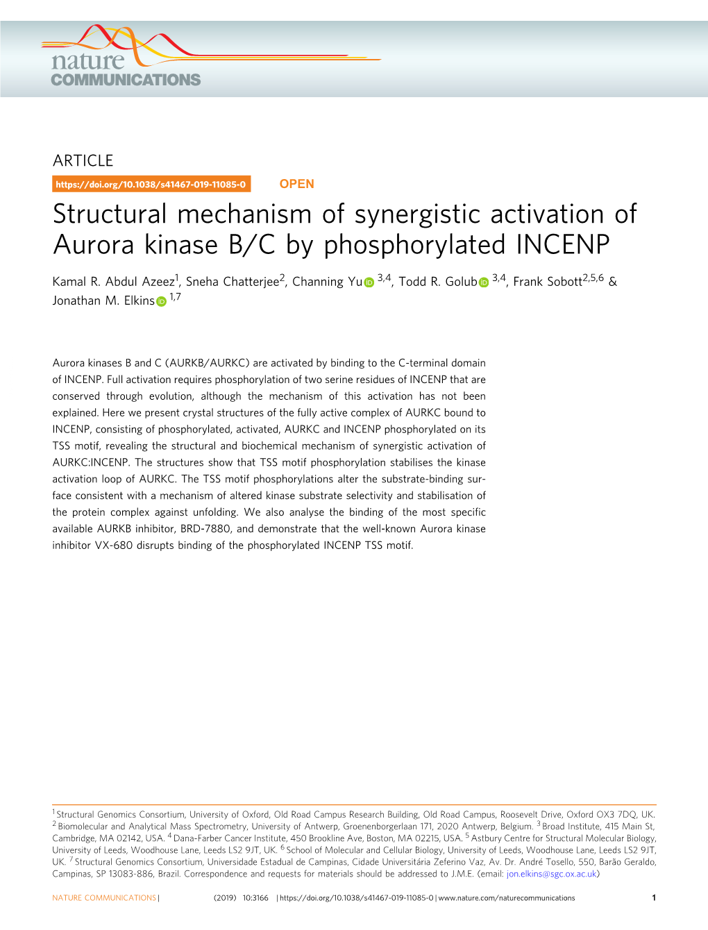 Structural Mechanism of Synergistic Activation of Aurora Kinase B/C by Phosphorylated INCENP