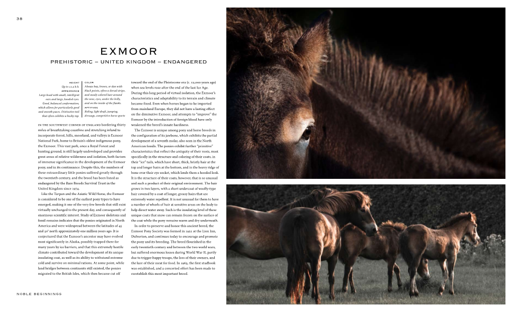 Exmoor Prehistoric – United Kingdom – Endangered