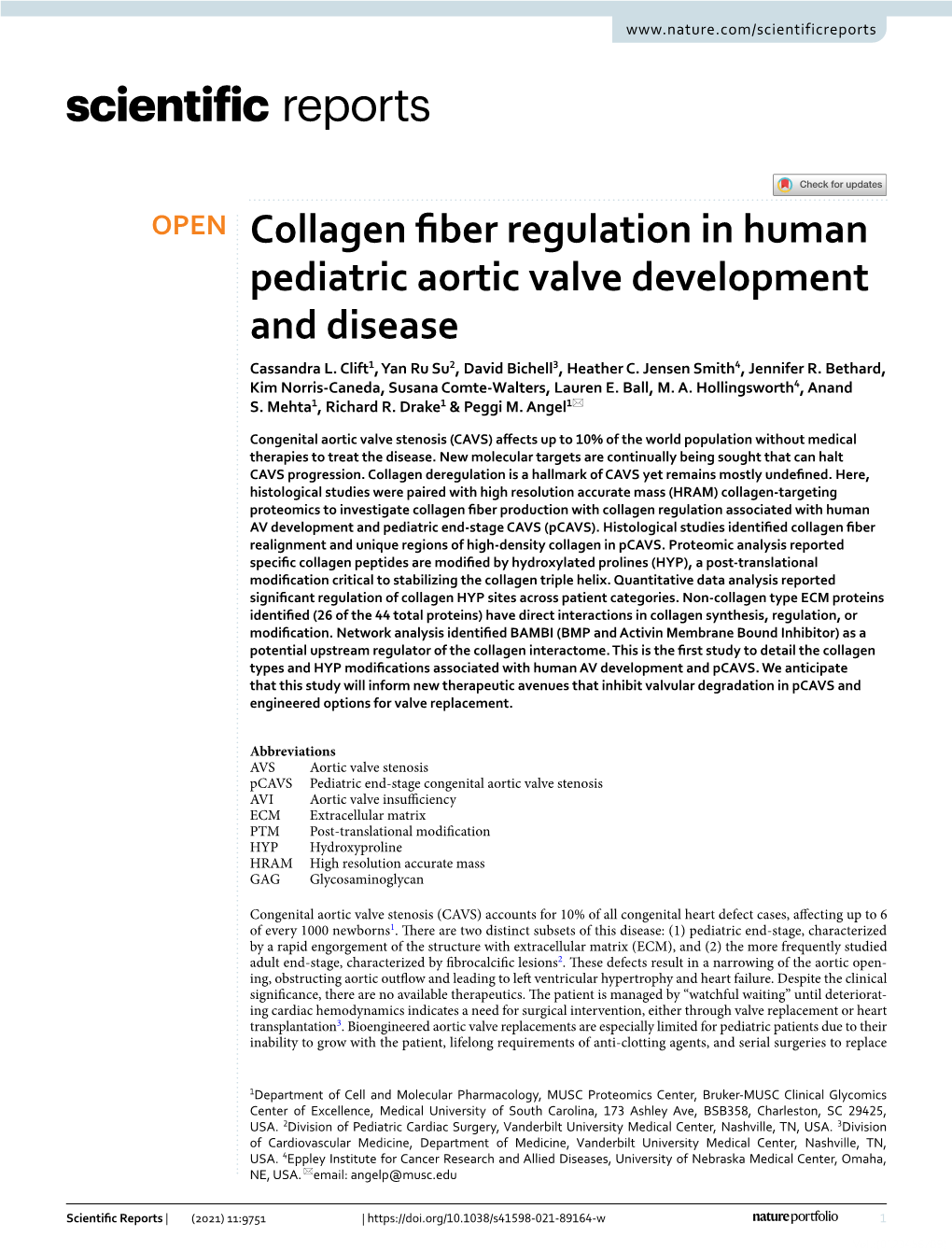 Collagen Fiber Regulation in Human Pediatric Aortic Valve Development