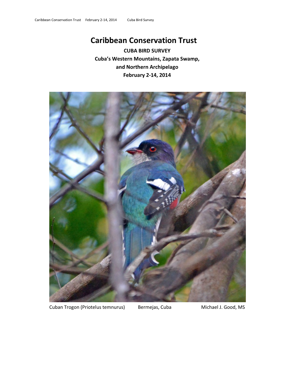 Caribbean Conservation Trust February 2-14, 2014 Cuba Bird Survey