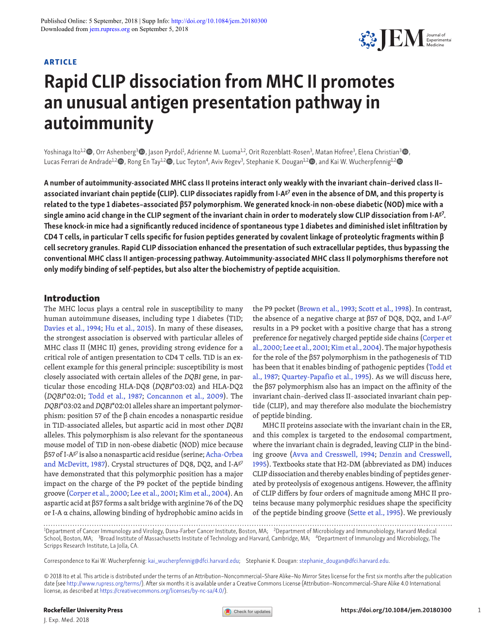 Rapid CLIP Dissociation from MHC II Promotes an Unusual Antigen Presentation Pathway in Autoimmunity