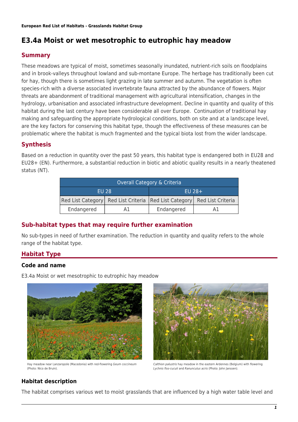 E3.4A Moist Or Wet Mesotrophic to Eutrophic Hay Meadow