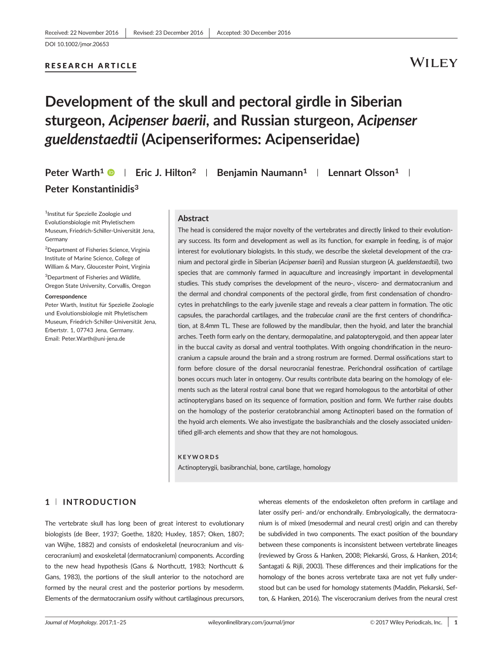 Development of the Skull and Pectoral Girdle in Siberian Sturgeon, Acipenser Baerii, and Russian Sturgeon, Acipenser Gueldenstaedtii (Acipenseriformes: Acipenseridae)