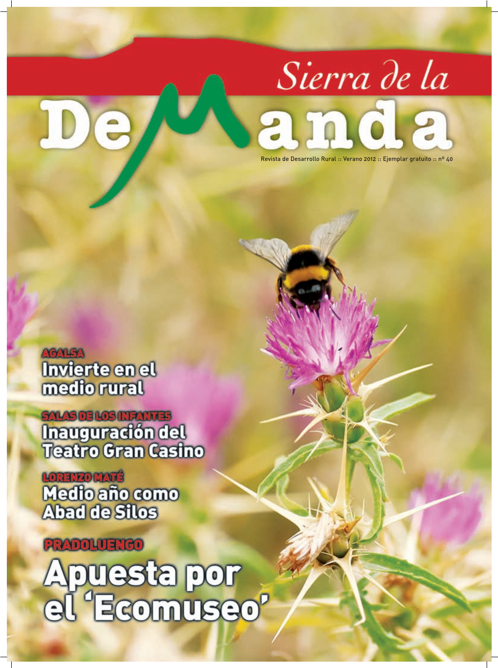 REVISTA AGALSA 40.Pdf