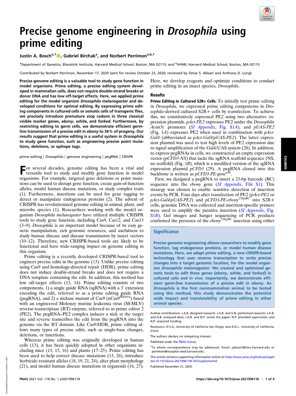 Precise Genome Engineering in Drosophila Using Prime Editing