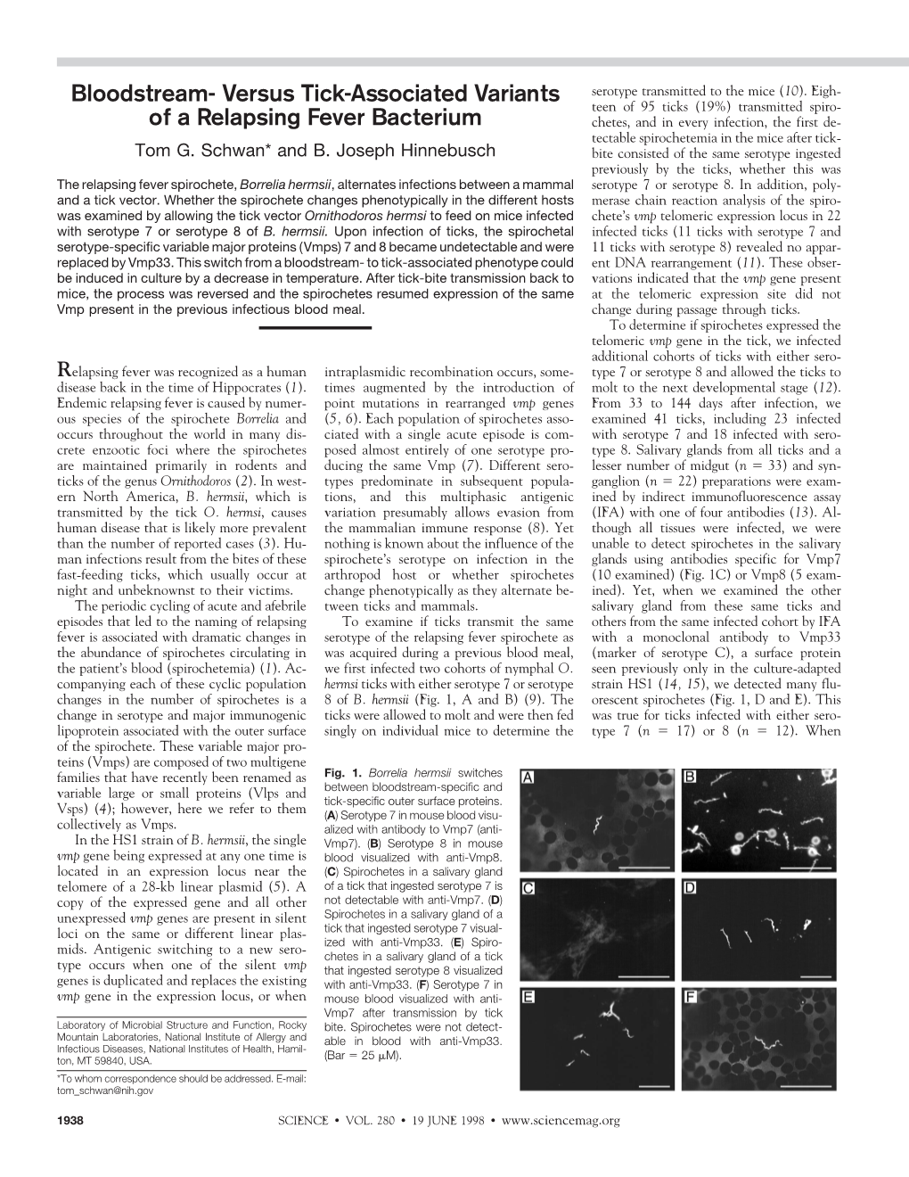 Versus Tick-Associated Variants of a Relapsing Fever Bacterium