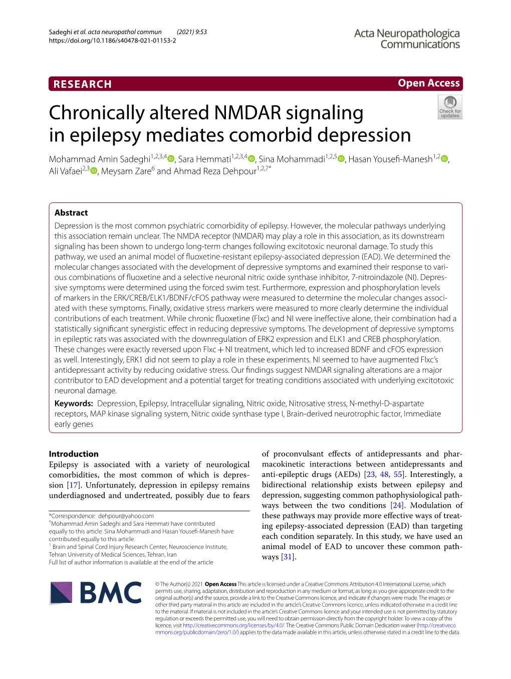 Chronically Altered NMDAR Signaling in Epilepsy Mediates Comorbid